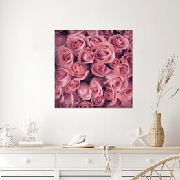 Plakat samoprzylepny Bukiet delikatnych różowych róż