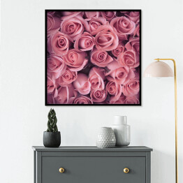 Plakat w ramie Bukiet delikatnych różowych róż