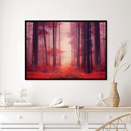 Plakat w ramie Jesienny las we mgle w odcieniach czerwieni