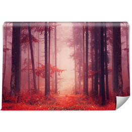 Jesienny las we mgle w odcieniach czerwieni