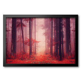 Obraz w ramie Jesienny las we mgle w odcieniach czerwieni