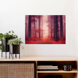 Plakat Jesienny las we mgle w odcieniach czerwieni