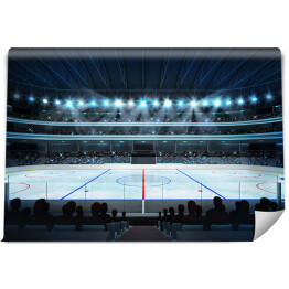 Fototapeta Stadion hokejowy z fanami i puste lodowisko