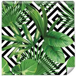 Tapeta samoprzylepna w rolce Tropikalne liście na geometrycznym czarno białym tle