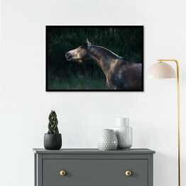 Plakat w ramie Szary arabski koń w lesie