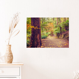 Plakat samoprzylepny Chodnik w lesie tropikalnym 