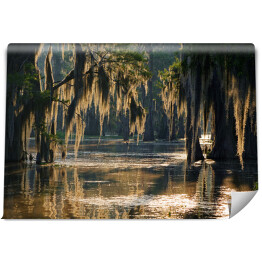 Fototapeta winylowa zmywalna Słońce odbijające się w Bayous, Luizjana