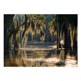 Plakat samoprzylepny Słońce odbijające się w Bayous, Luizjana