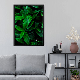 Obraz w ramie Ciemne zielone liście na czarnym tle