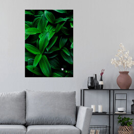 Plakat samoprzylepny Ciemne zielone liście na czarnym tle