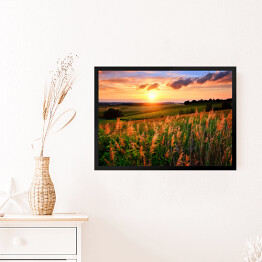 Obraz w ramie Zachodzące słońce rozświetlające łąkę z kwiatami