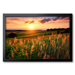 Obraz w ramie Zachodzące słońce rozświetlające łąkę z kwiatami