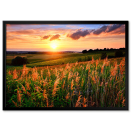 Plakat w ramie Zachodzące słońce rozświetlające łąkę z kwiatami