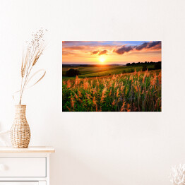 Plakat Zachodzące słońce rozświetlające łąkę z kwiatami