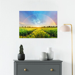 Plakat samoprzylepny Tęczowy zachód słońca nad polem pszenicy