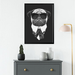 Pies w garniturze i przeciwsłonecznych okularach