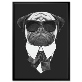 Plakat w ramie Pies w garniturze i przeciwsłonecznych okularach