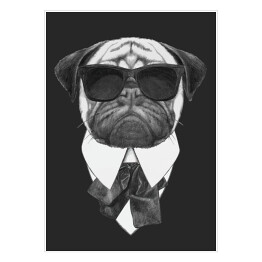 Plakat Pies w garniturze i przeciwsłonecznych okularach