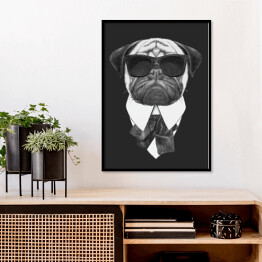 Plakat w ramie Pies w garniturze i przeciwsłonecznych okularach