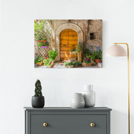 Obraz na płótnie Eleganckie drewniane drzwi z doniczkami