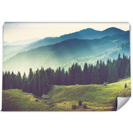 Fototapeta winylowa zmywalna Piękny letni krajobraz górski.