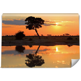 Fototapeta winylowa zmywalna Zachód słońca u wodopoju