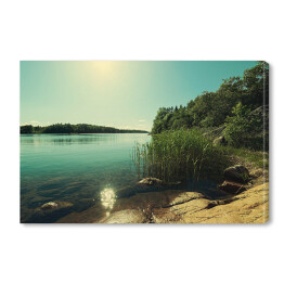 Obraz na płótnie Piękne wybrzeże z połyskującą taflą jeziora