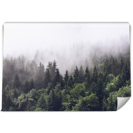 Fototapeta samoprzylepna Zalesione zbocze górskie w nisko zalegającej chmurze