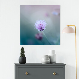 Plakat samoprzylepny Mały kwiat w pastelowym kolorze