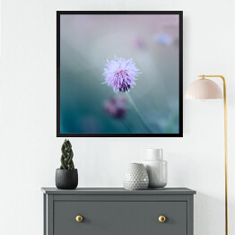 Obraz w ramie Mały kwiat w pastelowym kolorze