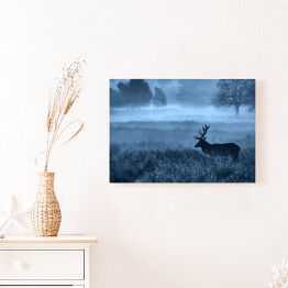 Obraz na płótnie Krajobraz z jeleniem na polanie we mgle o zmierzchu