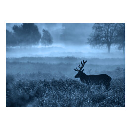 Krajobraz z jeleniem na polanie we mgle o zmierzchu