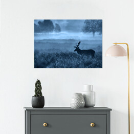 Plakat samoprzylepny Krajobraz z jeleniem na polanie we mgle o zmierzchu