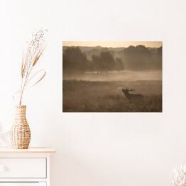 Plakat samoprzylepny Sylwetka jelenia we mgle
