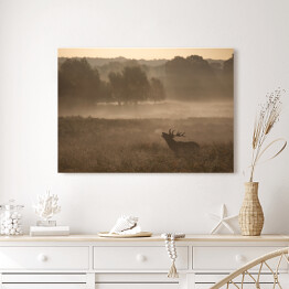 Obraz na płótnie Sylwetka jelenia we mgle