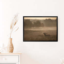 Obraz w ramie Sylwetka jelenia we mgle