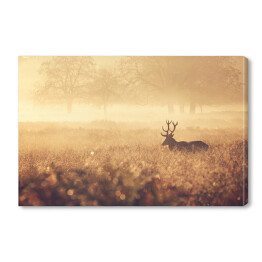 Obraz na płótnie Krajobraz z jeleniem