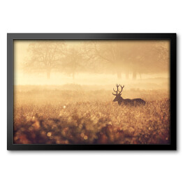 Obraz w ramie Krajobraz z jeleniem