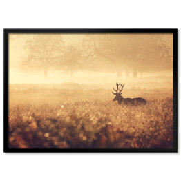 Plakat w ramie Krajobraz z jeleniem