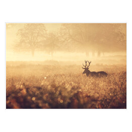 Plakat samoprzylepny Krajobraz z jeleniem