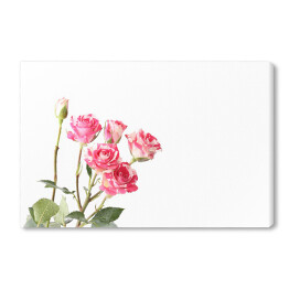 Obraz na płótnie Różowe kwiaty na łodygach