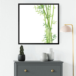 Zielony bambus na białym tle - ilustracja
