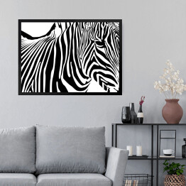 Obraz w ramie Zebra - widok z boku
