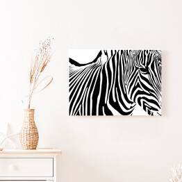 Obraz na płótnie Zebra - widok z boku