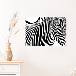 Plakat Zebra - widok z boku
