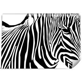Fototapeta Zebra - widok z boku