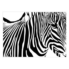 Plakat samoprzylepny Zebra - widok z boku