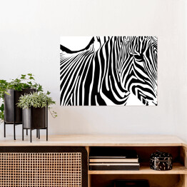 Plakat Zebra - widok z boku