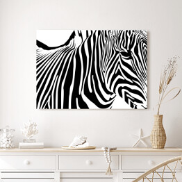 Obraz na płótnie Zebra - widok z boku