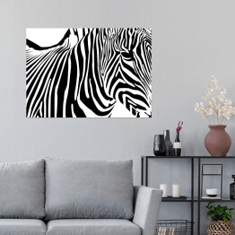 Zebra - widok z boku